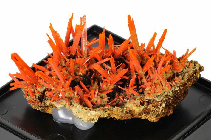 Bright Orange Crocoite Crystal Cluster - Tasmania #148514